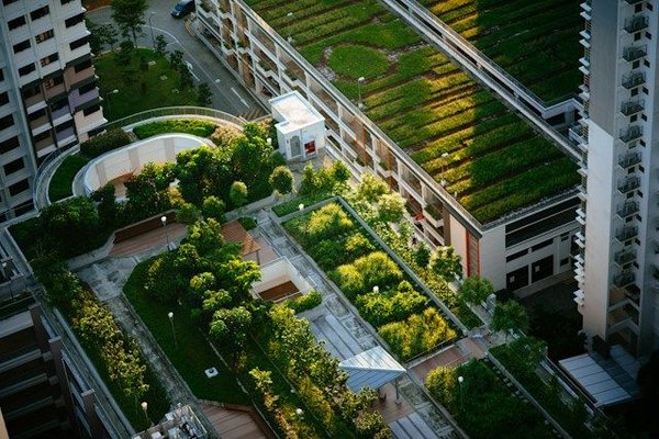 How does green infrastructure enhance resilience to extreme weather events in cities?